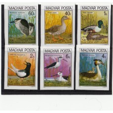 Фауна Венгрия 1980. Утки, болотные птицы серия 6 марок без зубцов