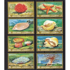 Фауна Ум Аль Кувейн. Морская фауна малюски кораллы. серия 8 марок