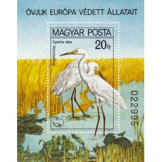 Фауна Венгрия 1980, Птицы болотные, Цапля блок Mi: 146A