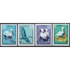 Фауна Болгария 1984, Птицы Пеликаны WWF, серия 4 марки (гашеные)