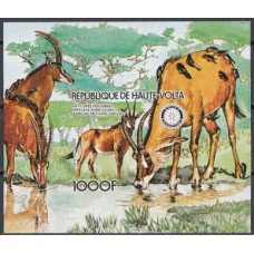 Фауна Верхняя Вольта 1984, Животные Африки Антилопы, блок Mi: 87B без зубцов (редкий)