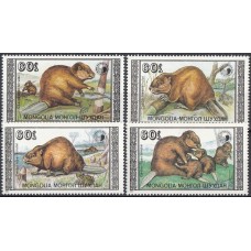 Фауна Монголия 1989, Бобр серия 4 марки