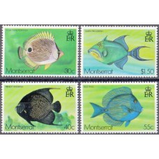 Фауна Монсеррат, Рыбы тропиков и кораллов, серия 4 марки
