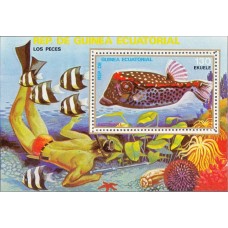 Фауна Экваториальная Гвинея 1979, Рыбы коралловых рифов, блок Mi: 312