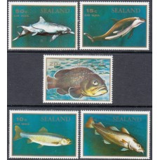 Фауна Сиалэнд 2011, Рыбы Дельфины, серия 5 марок