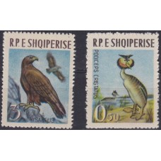 Фауна Албания 1964, Птицы 2 марки из серии