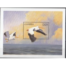 Фауна Гамбия, Птицы Пеликаны, блок