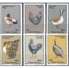 Фауна Румыния 1995, Домашняя птица, серия 6 марок