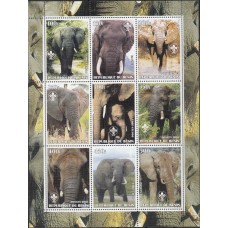 Фауна Бенин 2003, Слон малый лист