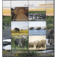 Фауна Джибути 2011, Слон, лист