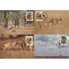 WWF Фауна Мозамбик 1991 Антилопа км