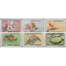 Флора Румыния 1995, Цветы Орхидеи лилии, серия 6 марок