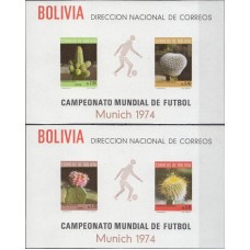 Футбол Боливия 1973, ЧМ Германия-74 Растения Кактусы, полная серия 2 блока Mi: 36-37 без зубцов