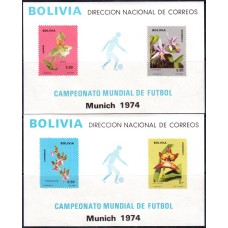Футбол Боливия 1974, ЧМ ФРГ-74 комплект блоков Mi: 38-39, цветы Орхидеи