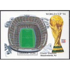 Футбол Гана 1994, ЧМ США-94, блок 259 стадион Метлайф-стэдиум Нью Йорк