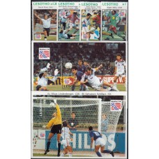 Футбол Лесото 1994, ЧМ США-94, серия 4 марки 2 блока
