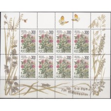 Россия 1995, Флора Полевые цветы России, малый лист марки № 218 Клевер