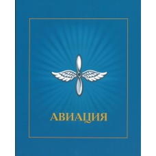 Авиация 1 сувенирный набор Россия