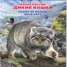 Фауна Россия 2014, Дикие кошки, сувенирный набор