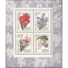 СССР 1971, Флора Цветы Тропические и субтропические растения Орхидеи, блок 4085(Сол)