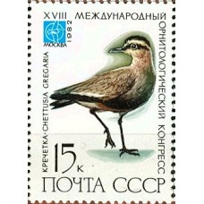 СССР 1982, Редкие птицы СССР Кречетка, марка 5303 (Сол)