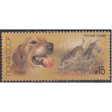 СССР 1988, Фауна Охотничьи собаки Русская гончая, марка 5947 (Сол)