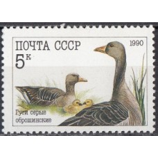 СССР 1990, Домашние птицы Гуси, марка 6223 (Сол)