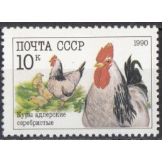 СССР 1990, Домашние птицы Куры, марка 6224(Сол)