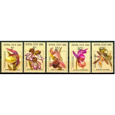 СССР 1991, Флора Цветы Орхидеи, полная серия 6315-19 (Сол)