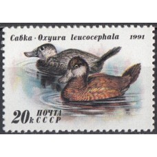 СССР 1991, Фауна Утки Савка, марка 6336 (Сол)