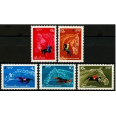 СССР 1968, 3598-3602, Коневодство и конный спорт, полная серия 5 марок
