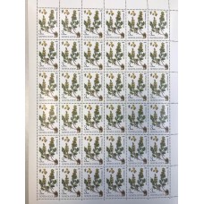 СССР 1985, Флора Лекарственные растения, полный лист марки 5650 (Сол)